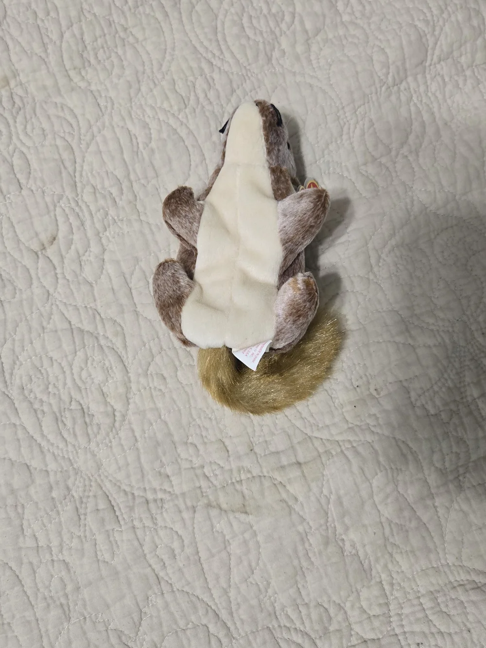 Ty Beanie Baby 